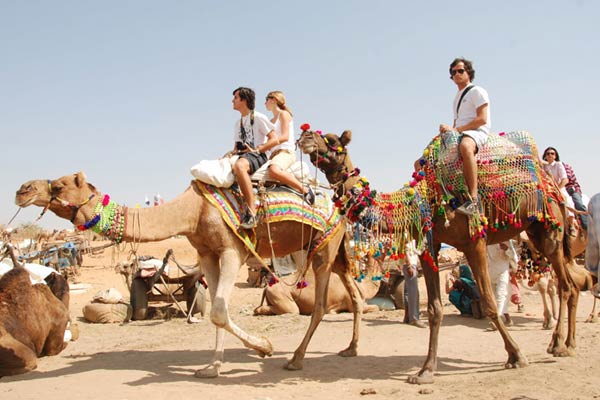 Pushkar Camel Safari