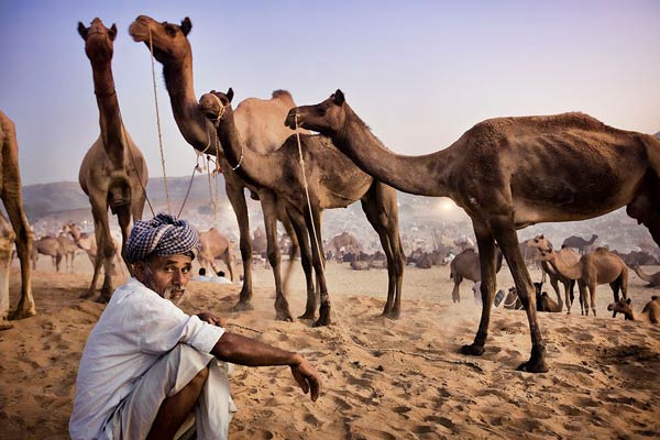 Pushkar fair Guidelines