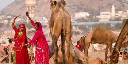 Pushkar fair tour