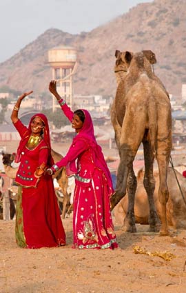 Pushkar fair programmes