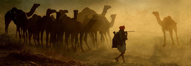 Pushkar fair guidelines